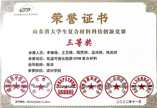 陈非老师带队喜获“第二届山东省...